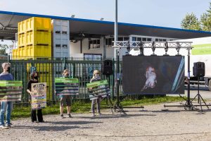 Deutsches Tierschutzbüro e.V. Schockbilder aus Tönnies- Zulieferbetrieb: Tierrechtler*innen zeigen Bilder auf Leinwand vor Tönnies-Schlachthof in Sögel (Niedersachsen)