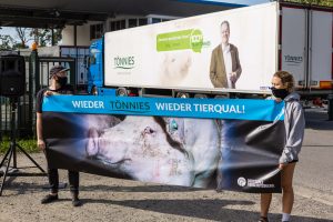 Deutsches Tierschutzbüro e.V. Schockbilder aus Tönnies- Zulieferbetrieb: Tierrechtler*innen zeigen Bilder auf Leinwand vor Tönnies-Schlachthof in Sögel (Niedersachsen)